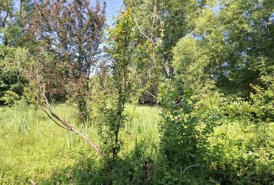 Spațiu comercial, în Ghirdoveni - 2