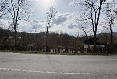 Teren Construcții intravilan de 2100 mp, în Provița de Jos - 5