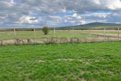 RECO Casa noua la 6 km de Oradea, in Rontau - 3