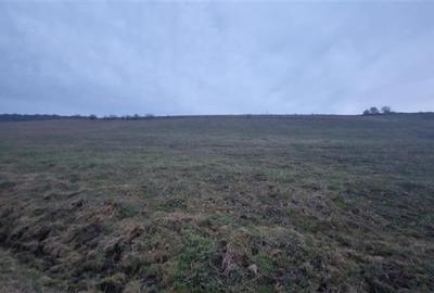 De vanzare teren 1,2 Ha in Laureni De vanzare teren 1,2 Ha in Laureni - 2