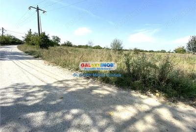 Vanzare teren intravilan Baicoi Vanzare teren intravilan Baicoi - 3