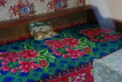 Casă cu 2 camere în Tălagiu - 6