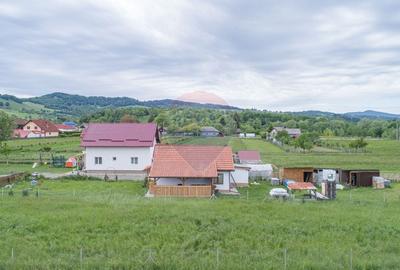 Teren Construcții intravilan de 2551 mp, în Acriș - 22