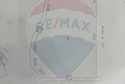 Teren de 25000 mp, în Răcoasa - 1