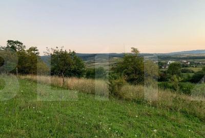 Teren intravilan,18000 mp, situat in Sopor, Exclusivitate! - 4