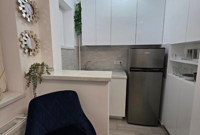 Decebal, Rond Alba Iulia, pe Moise Nicoara, renovata, mobilata si utilata lux - 2