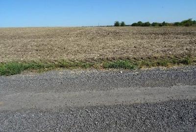 Teren intravilan Valu lui Traian, cota parte 3/48 ; ID: R... - 5