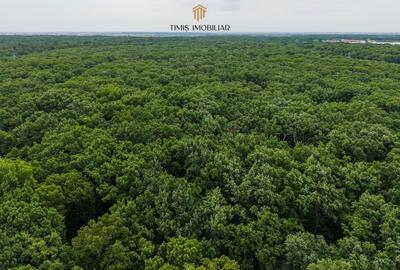 Casa superba, 3 dormitoare, totul nou, Strada Zenit - Comision 0% - 40