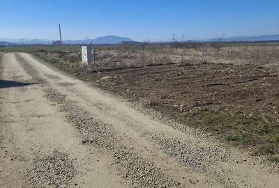 Teren Construcții intravilan de 600 mp, în Tărlungeni - 2