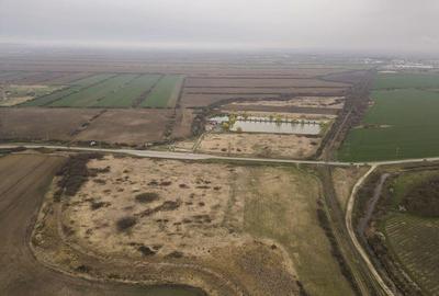 Teren extravilan in Ineu - 25