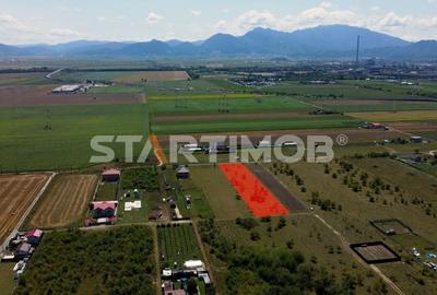 Teren intravilan Livada Sanpetru Teren intravilan Livada Sanpetru - 4