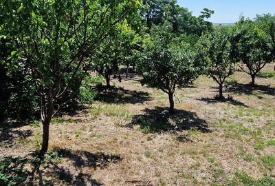 Teren de 1837 mp, în Grădiștea - 1