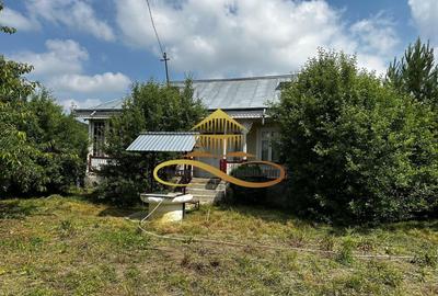 Casa batraneasca cu 2ha de teren de vanzare in sat Balaia / Bacau - 4