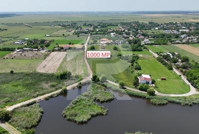DASCALU-CREATA Lot 1000 MP