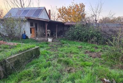 Teren 365mp Vidra-Copaceni cu 2 case, fundatie, fosa, beci, put - 4