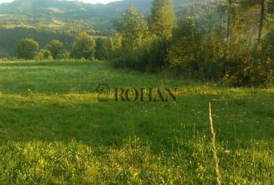 Teren intravilan de 5360 mp, în Tiha Bârgăului - 10