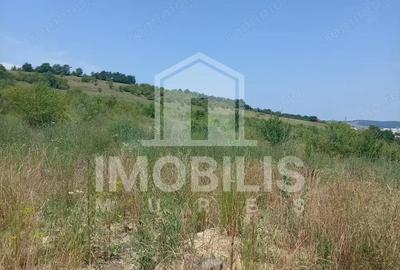 Teren de 8800 mp, în Depozite