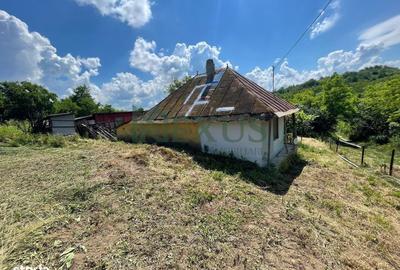 Casă cu 2 camere în Hertioana de Jos - 7