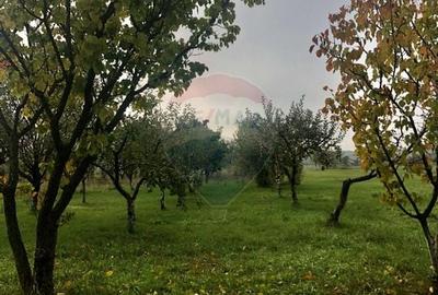 Proprietate specială, de 937 mp, în Dragomirești-Deal - 43