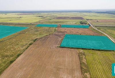 Teren 15Ha cu acces cale ferata - 4