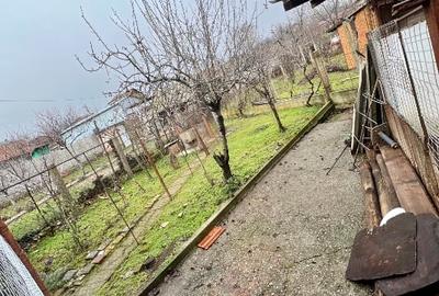 Casă cu 3 camere cu Teren 240 Mp în Șimian - 7