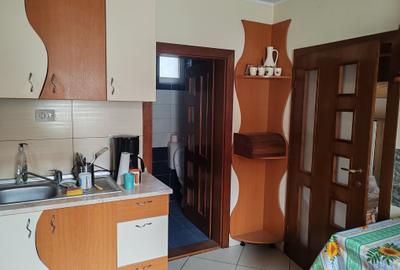 Casa 5 camere libera la vanzare SACELE - ELECTOPRECIZIA - 10