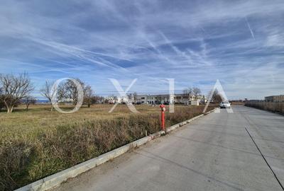 AX1027 Teren Intravilan, Zona Industriala Monlandys, Calea Sagului - 6