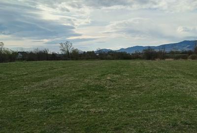 Spațiu comercial, în Vicovu de Sus - 2