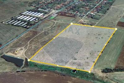 Teren extravilan Alunis-Arad. 92.700 mp Inchiriere pt parc fotovoltaic - 1