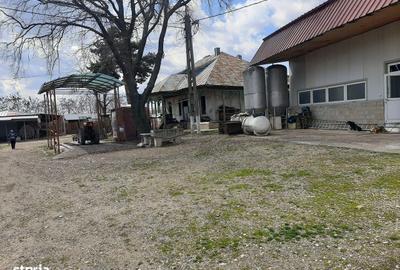 Casă cu Teren 10500 Mp în Vârteșcoiu - 6