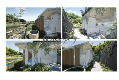 Locatie spectaculoasa pentru business de ospitalitate sau second home - 4