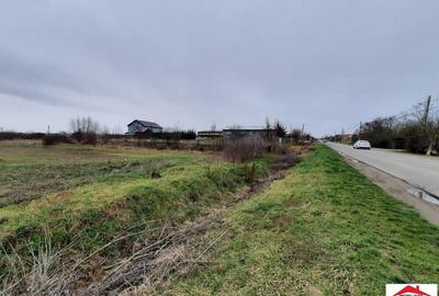 Teren intravilan 12216 mp in Vetis construibil - 5