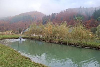 Proprietate cu potențial turistic în zona montană a Țării Lăpușului - 4