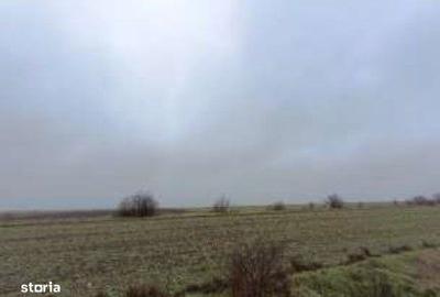 Spațiu comercial, în Siminoc - 9