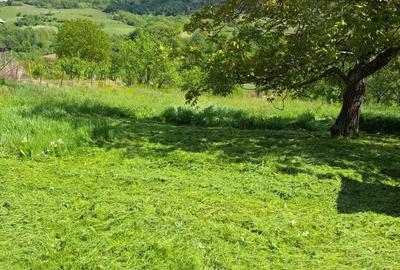 Vand casa Urvi? de Beiu? - 5