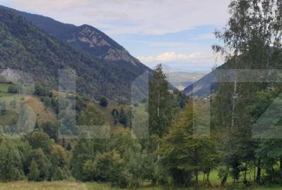 Teren 13.570 mp, Moieciu Pestera - 3