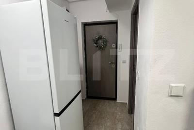 Garsonieră semidecomandată, mobilată în Cornitoiu - 9