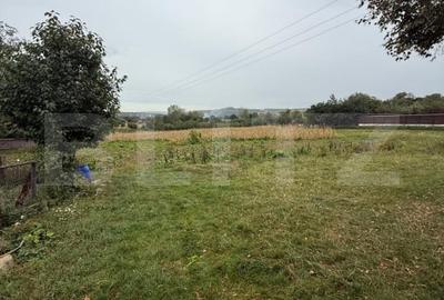Casa batraneasca, 65 mp si teren intravilan 5600 mp, Adancata - 2