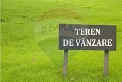 Teren agricol extravilan de 10124 mp, în Nord-Vest - 1