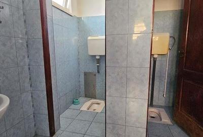 Proprietate multifunctionala, com.D-va Rosie,casa+spatiu comercial+teren - 1