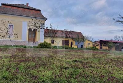 Casa de vanzare Comlosu Mare - 2