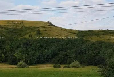 Exclusivitate! Teren intravilan in Luna de sus! - 6