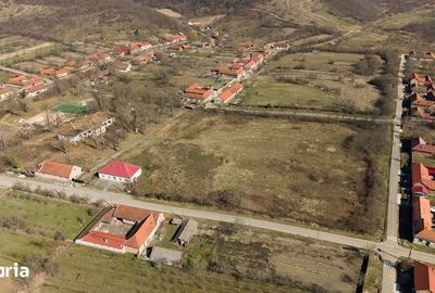 Casă cu 8 camere cu Teren 7235 Mp în Traian Vuia - 12