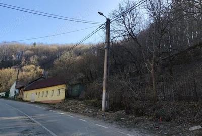 Casă cu 3 camere cu Teren 729 Mp în Văliug - 1