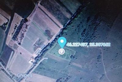 Teren de 1786 mp, în Mărtiniș - 6