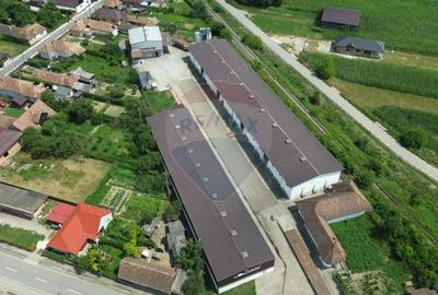 Spațiu comercial, de 2,500 mp, în Sângeorgiu de Pădure - 13