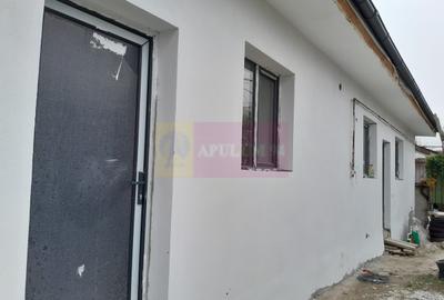 Casă cu 2 camere în Roșu - 8