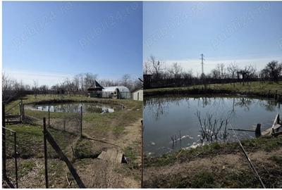 Casă cu Teren 2579 Mp în Colanu - 4