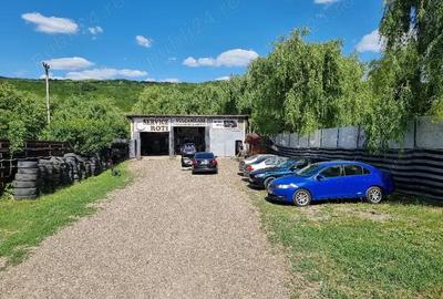 Spațiu comercial, de 500 mp, în Păcurari - 5