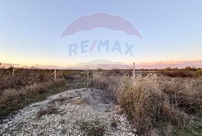 Oportunitate de investitie - teren 804 mp, Corbeanca - Strada Scolii - 8